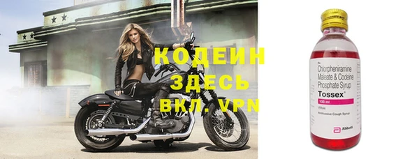 прущая мука Арсеньев