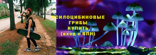 a pvp Аркадак