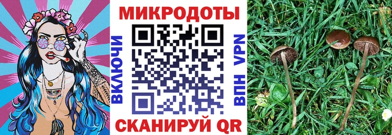 Псилоцибиновые грибы GOLDEN TEACHER  наркотики  Меленки 